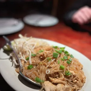 a plate of noodles and meat