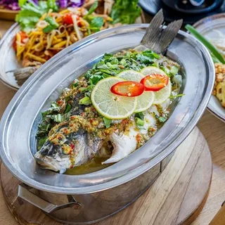 Steamed Sea Bass