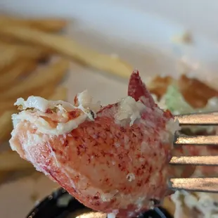 Huge chunk of lobster