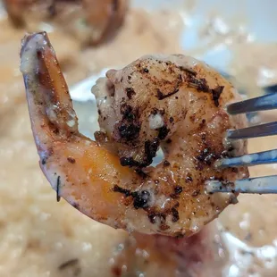 Shrimp
