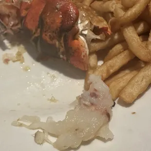 Raw lobster tail