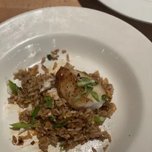 Sea bass on wild rice