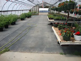 Gordon's Greenhouse