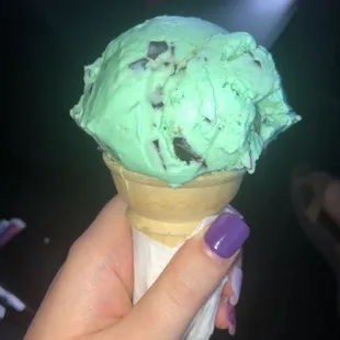 Mint Chocolate Chip Icecream Cone
