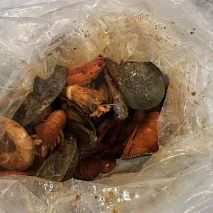 oysters, mussels, food, shellfish, oysters and mussels