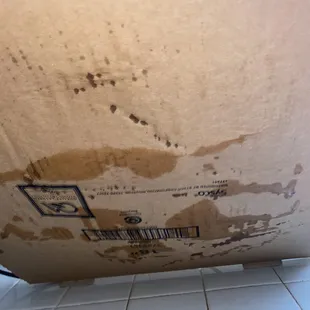 Bottom of the pizza box