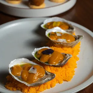 shellfish, oysters, mussels, food, oysters and mussels