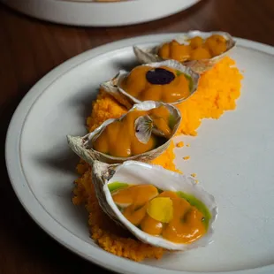 mussels, oysters and mussels, oysters, food, shellfish