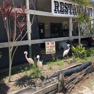 Flamingo statues....