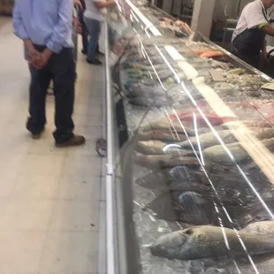 People like fish, fresh &amp; wiggling. (Box&apos;O fish-sticks 4me.)&amp; NOthing beats that utterly Pluperfect Fish Market Aroma, Except ANYthing else.