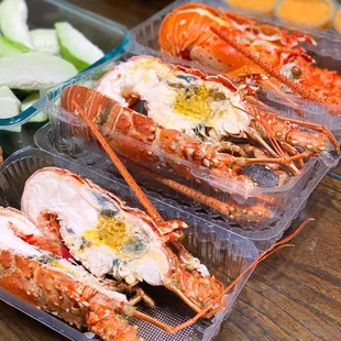 Fresh Lobster