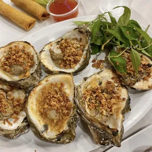 oysters and mussels, shellfish, oysters, mussels, food