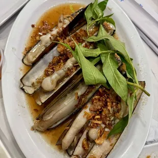 Razor Clams