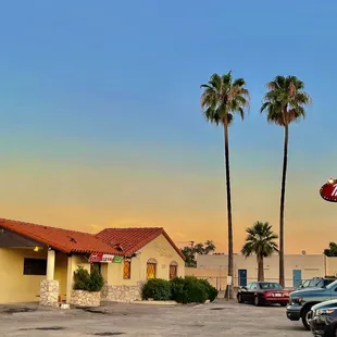 a parking lot with parked cars and palm trees