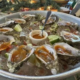Fresh oysters