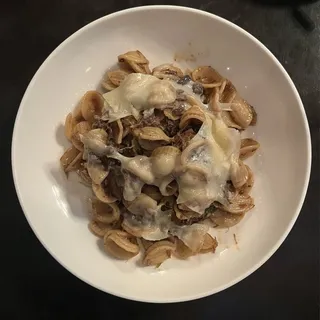 Braised Wagyu Beef on Orecchiette