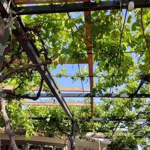 a patio with a table and chairs
