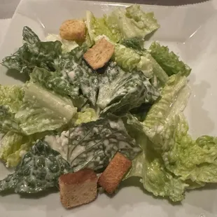 Caesar Salad - tasty! But a little overpriced for the size.