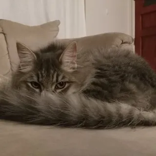 Zoe B.