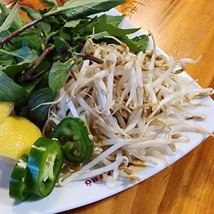 noodles, noodle dish, ramen and noodles, ramen, food, noodle soup