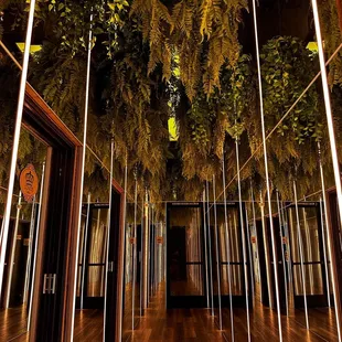 Mirrors to the bathroom