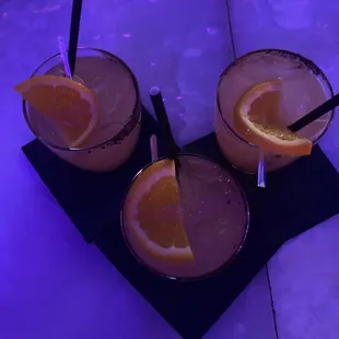 Paloma