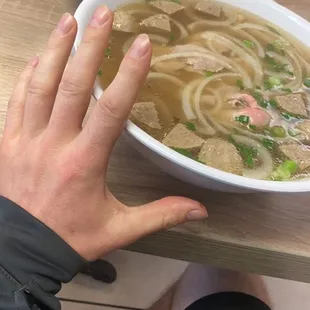 Large house special pho