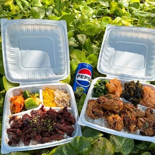 Spicy BBQ Pork and Spicy Chicken Wingsspicy