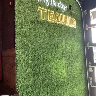 Hidden door, perfect for the band area, if they have one sometime