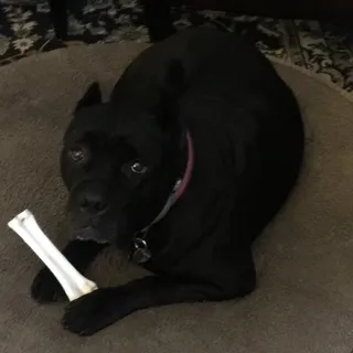 K H.