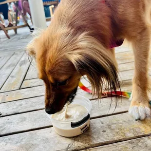 Bark bowl