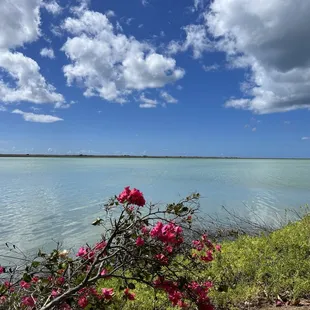 View of the runway shared with Hickam and Honolulu Intl
