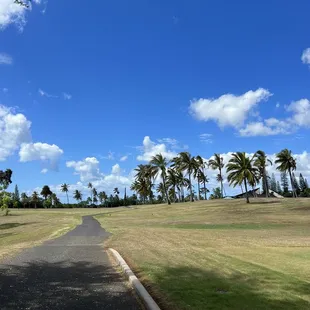 Nice open fairways