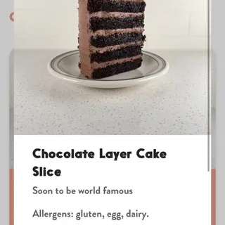 Slice of Chocolate Layer Cake