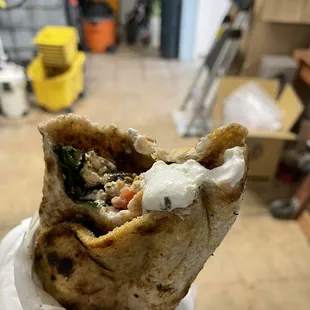 a hand holding a burrito