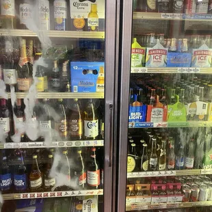 Your choice of selection of beers to coolers