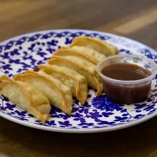 Crispy Chicken Dumplings