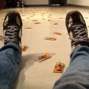 100 mouse traps + 2 blindfolded and barefoot performers= AMAZING