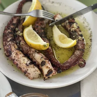 Octopus