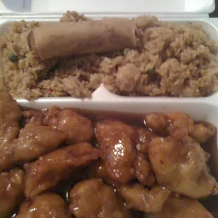 a container of chicken and rice