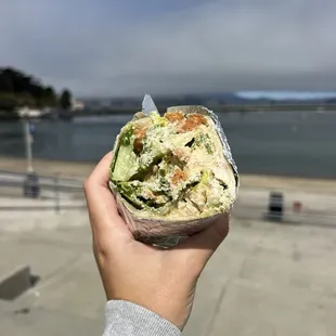burrito, wraps, burritos and wraps, food