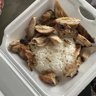 Rice Plates
