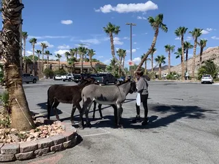 Death Valley Coffee Time