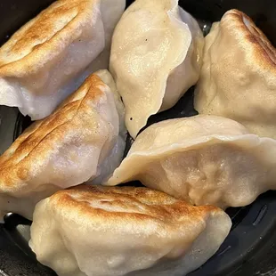 Fried Pork Dumplings Potstickers