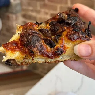 Fungi pizza