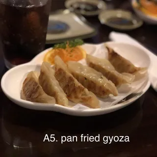 Pan-Fried Gyoza