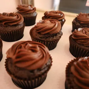 chocolate cupcakes
