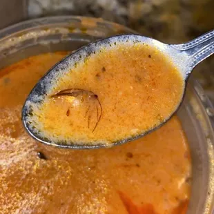 a spoon full of soup