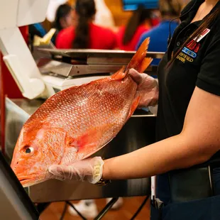 a woman holding a large fish