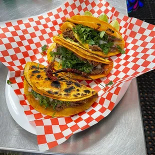 Quesobirria Tacos